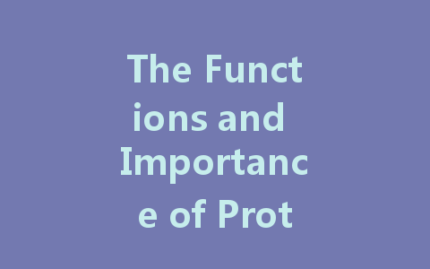 The Functions and Importance of Protective Clothing: Types, Materials, and Recycling