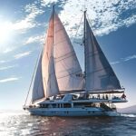 Ship Sailing